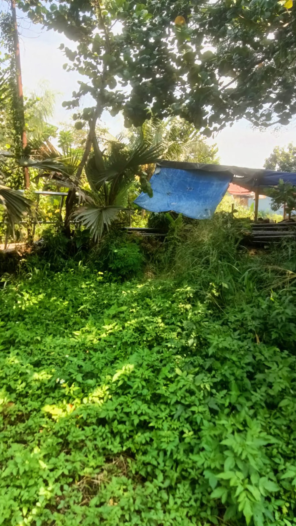 Tanah Raya Padjajaran, Bogor