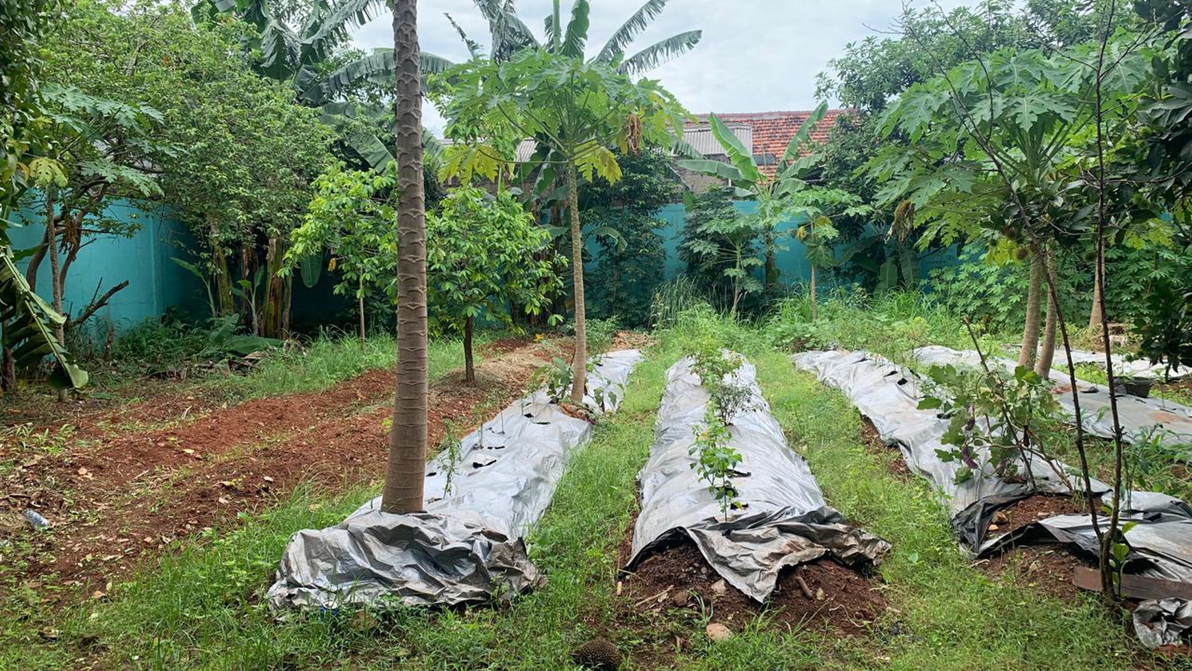 Kavling Siap Bangun Di Jl Sukun Cempaka Putih, Kp Utan Tangerang Selatan