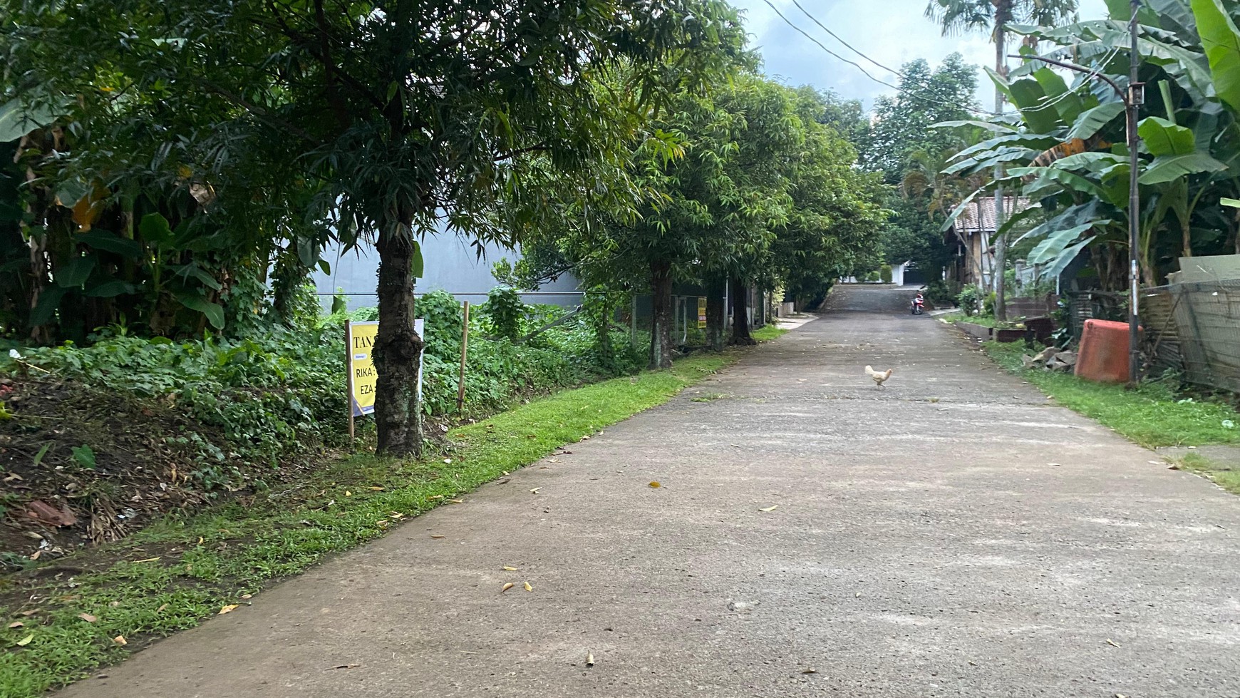 Tanah Dalam Komplek Cinere, Dekat Pintu Tol Brigif - Harga Menarik