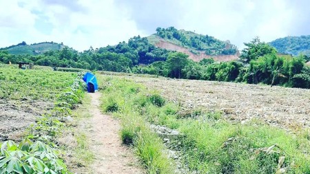 DIJUAL TANAH JL. PANGERAN TIRTAYASA SUKABUMI BANDAR LAMPUNG