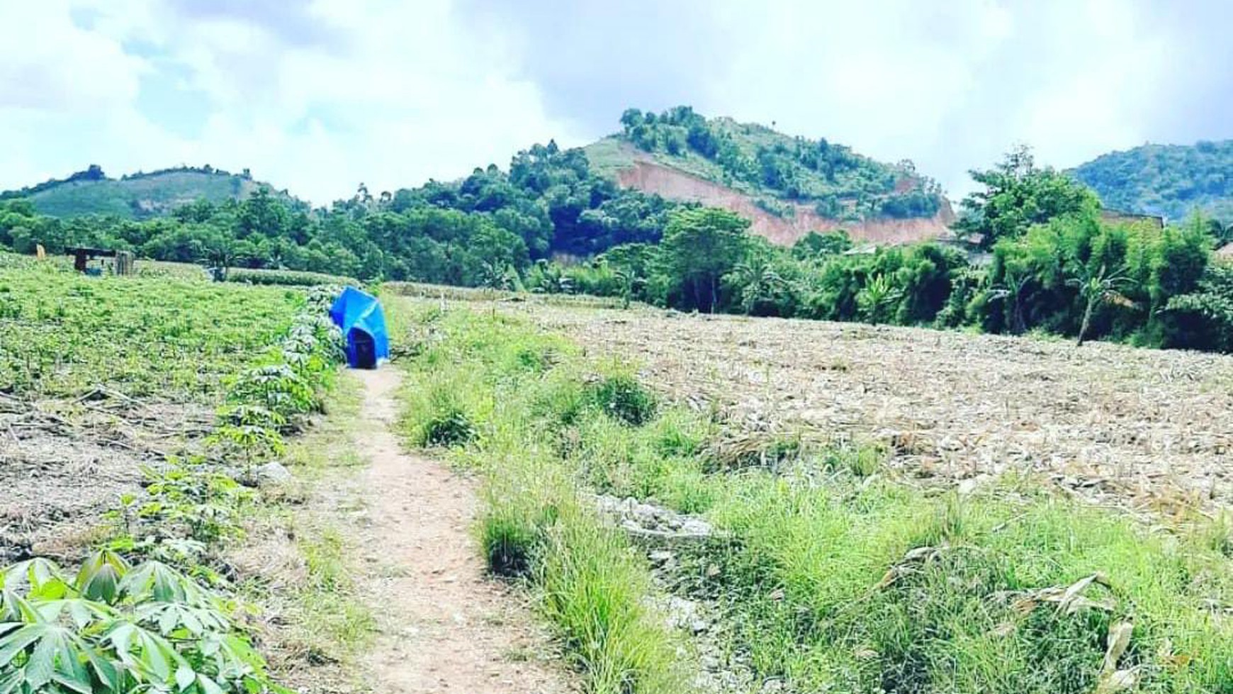 DIJUAL TANAH JL. PANGERAN TIRTAYASA SUKABUMI BANDAR LAMPUNG