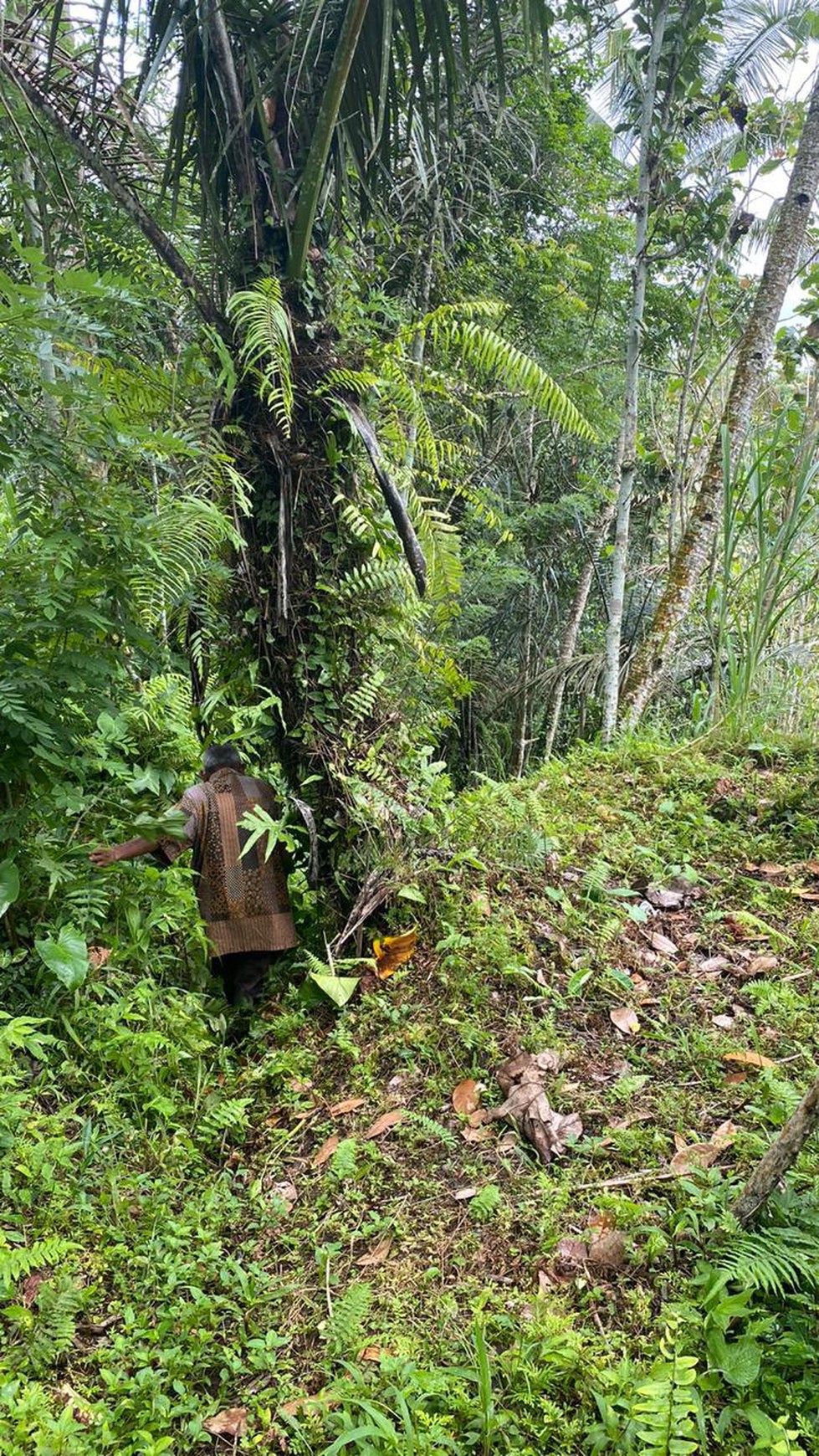 Freehold 8200 m2 land at Tampak Siring, Gianyar