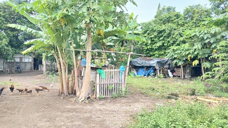 Tanah Luas 350 Meter Persegi Lokasi Strategis Dekat Kampus ISI Sewon Bantul 