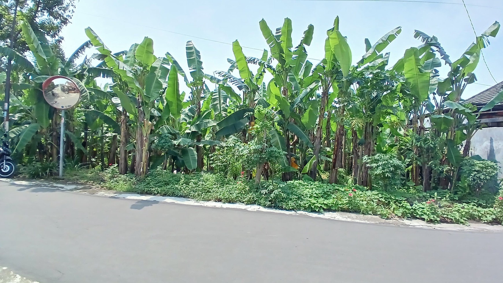 Tanah 354 Meter Persegi Cocok Untuk Rumah Tinggal Di Dekat Jl Palagan Sleman