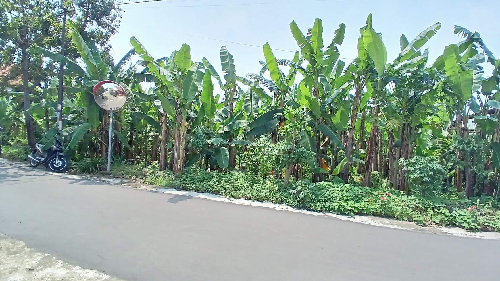 Tanah 354 Meter Persegi Cocok Untuk Rumah Tinggal Di Dekat Jl Palagan Sleman