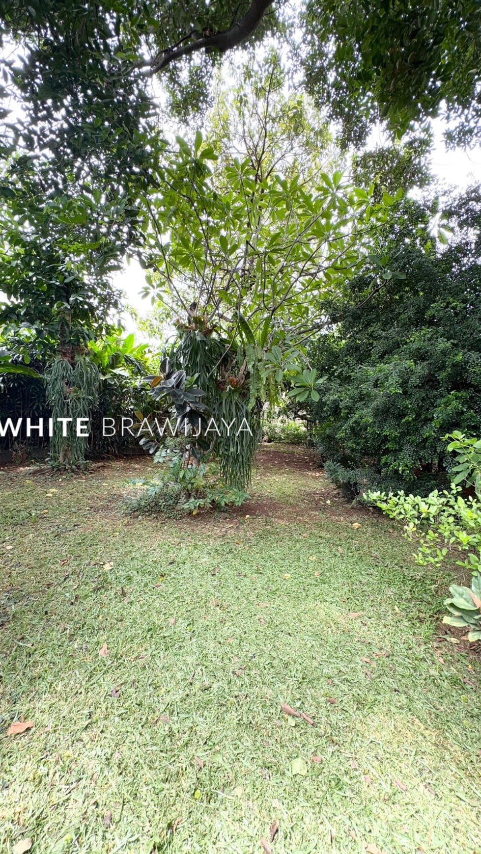 Rumah Tua Lingkungan Tenang Area Jagakarsa
