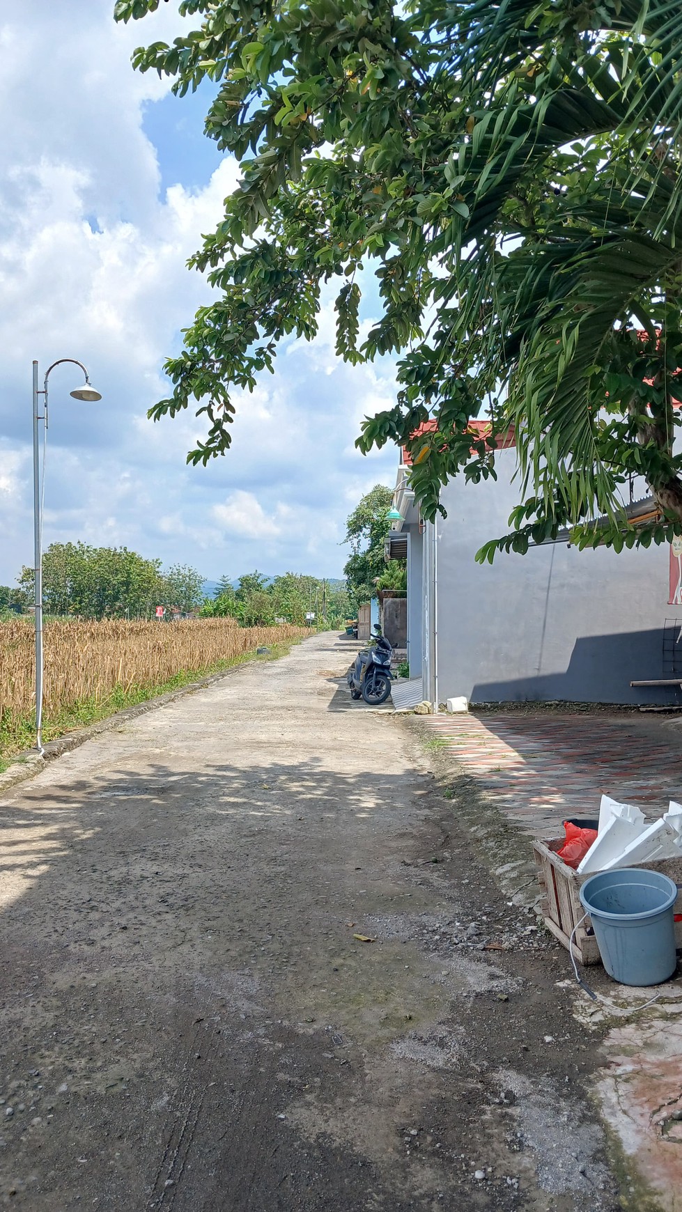 Rumah Tinggal Cocok Untuk Keluarga Besar Lokasi Piyungan Bantul