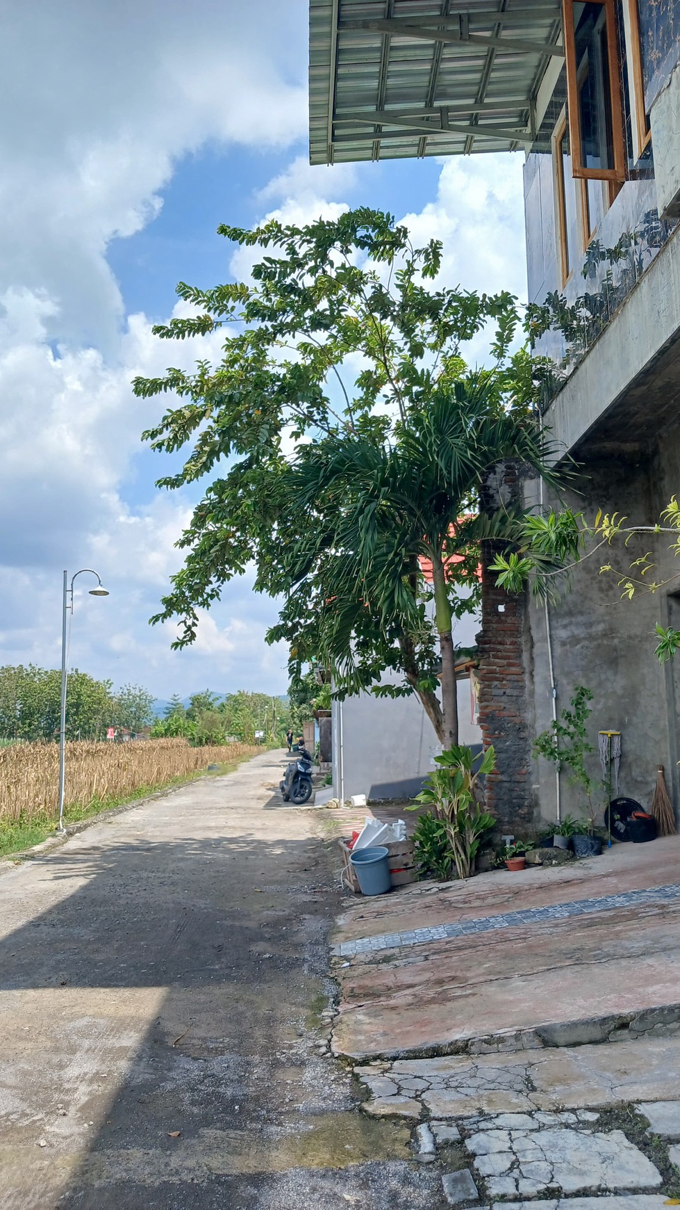 Rumah Tinggal Cocok Untuk Keluarga Besar Lokasi Piyungan Bantul