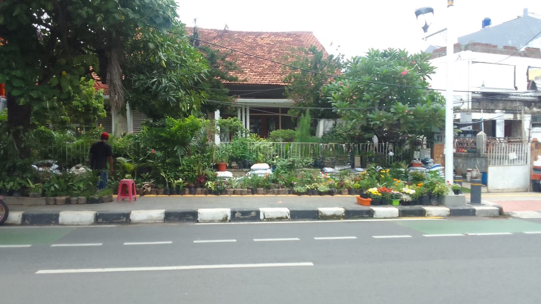 Rumah Lama Cantik Hitung Lahan Di Tebet Barat Raya Di Depan ECO Park Tebet Dengan Taman Depan Dan Belakang Yang Luas Di Jual Di Bawah Harga Pasar