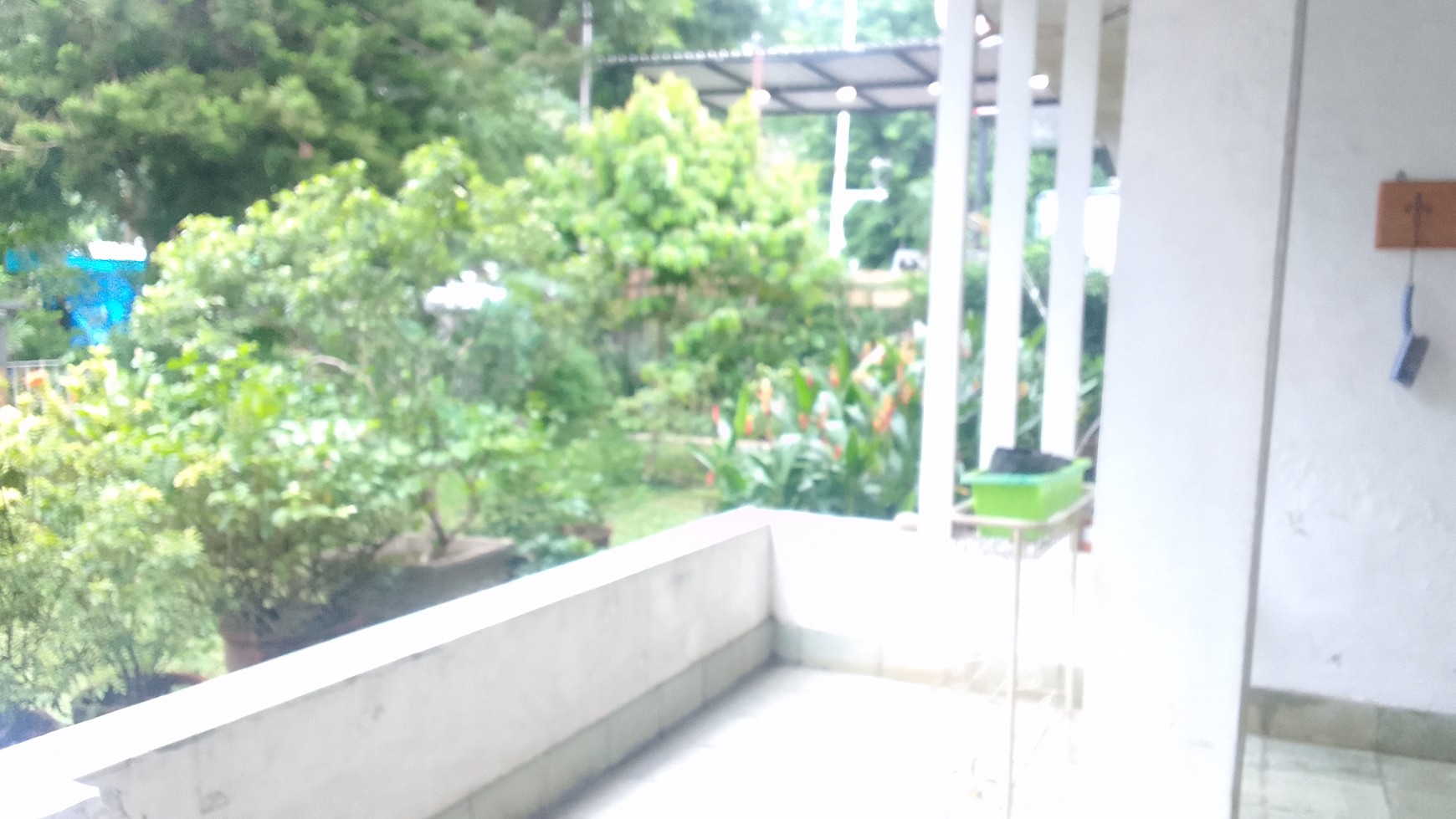 Rumah Lama Cantik Hitung Lahan Di Tebet Barat Raya Di Depan ECO Park Tebet Dengan Taman Depan Dan Belakang Yang Luas Di Jual Di Bawah Harga Pasar