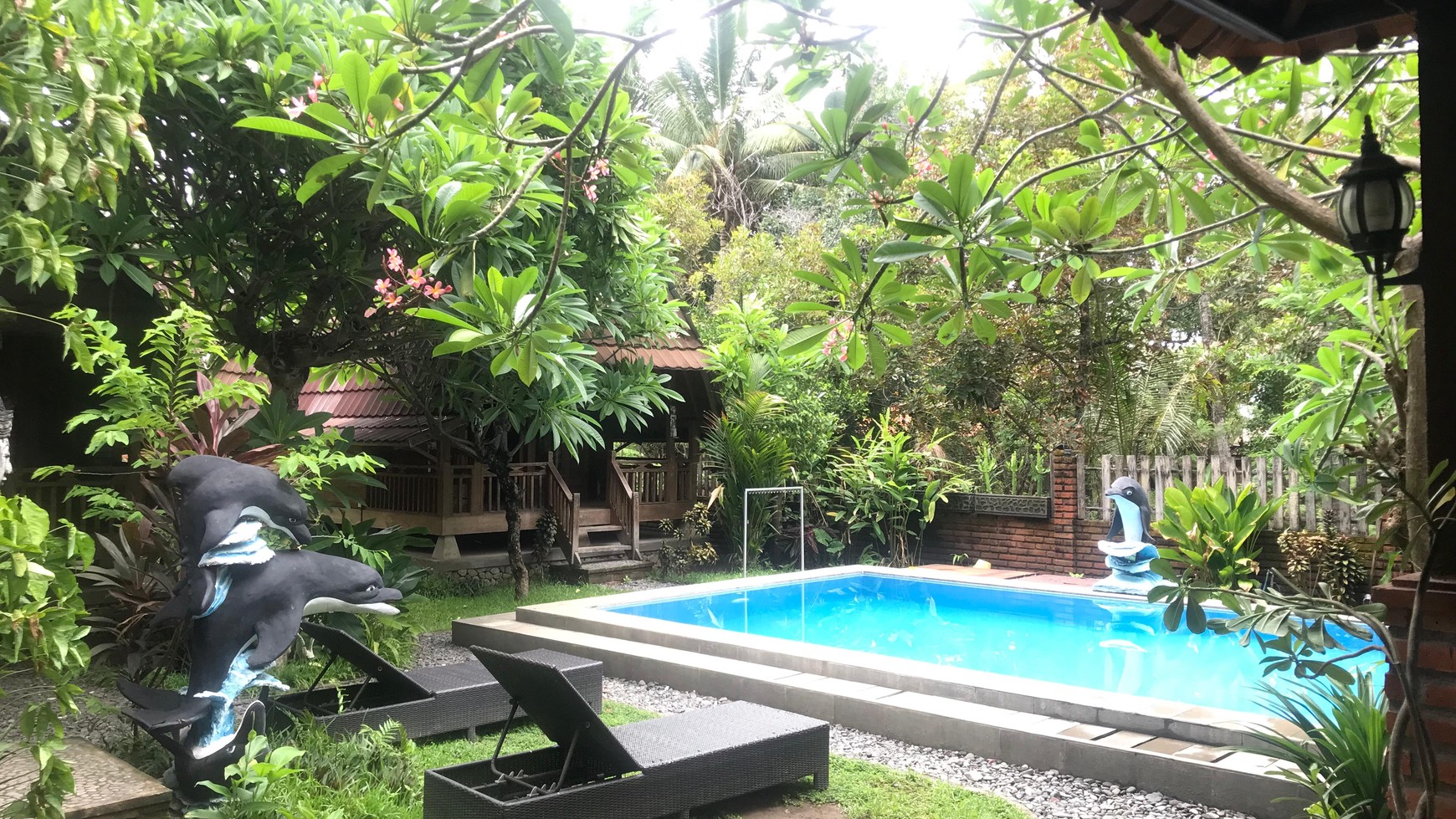 Business Opportunity: A Tropical Sanctuary & Serene Eco Villa In Tejakula For Sale!