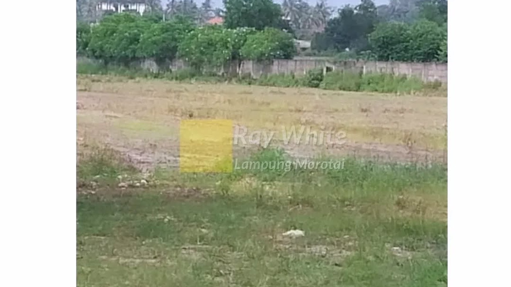 dijual tanah murah sukarame