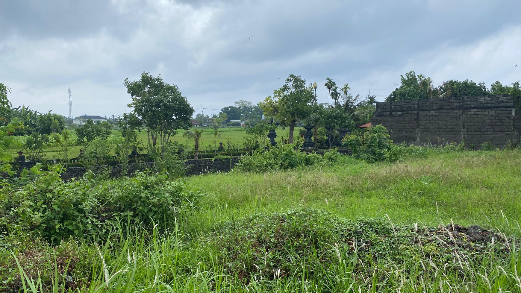 Land with Rice Field view & Mountain View For Sale In lovina