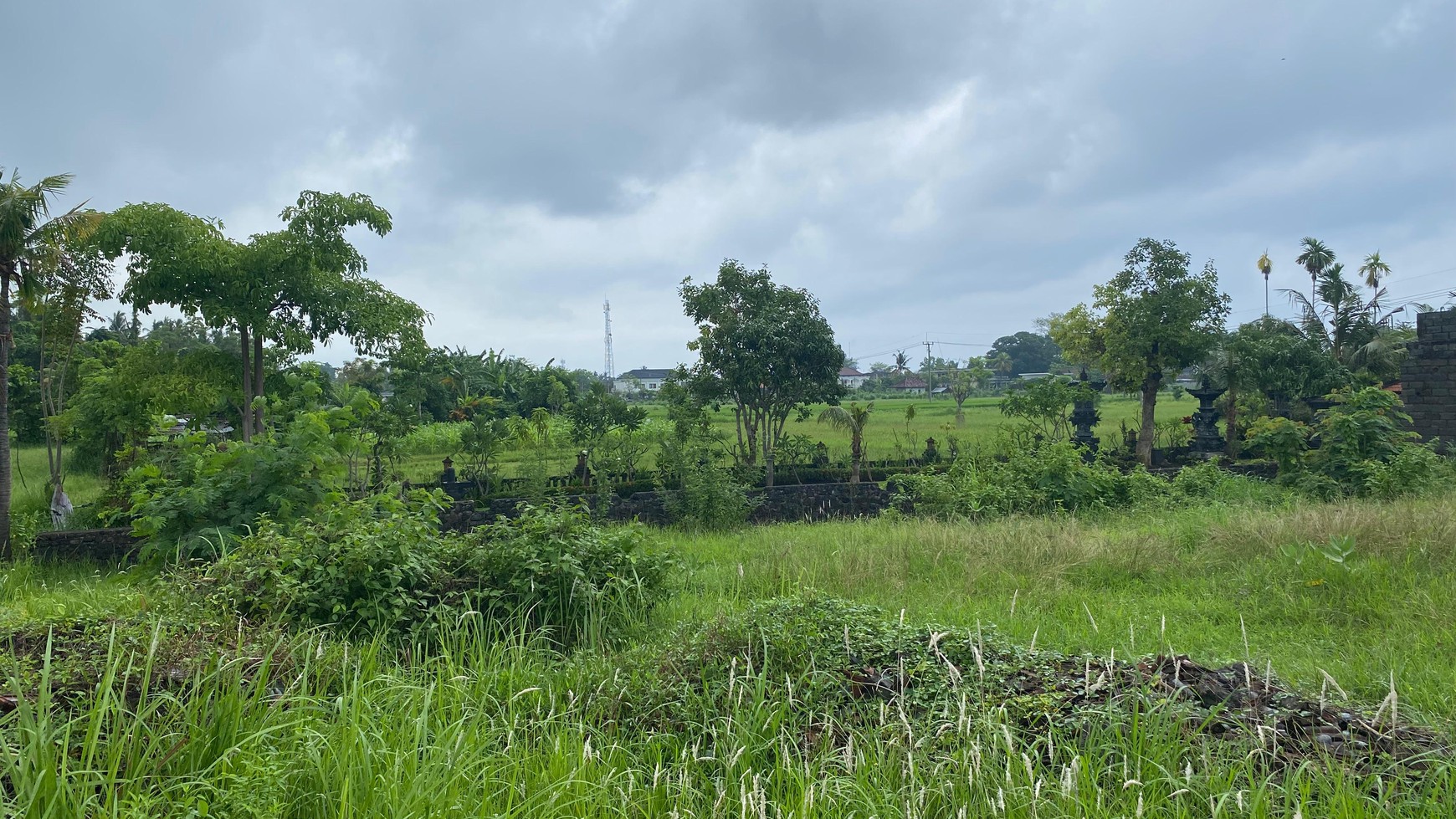 Land with Rice Field view & Mountain View For Sale In lovina