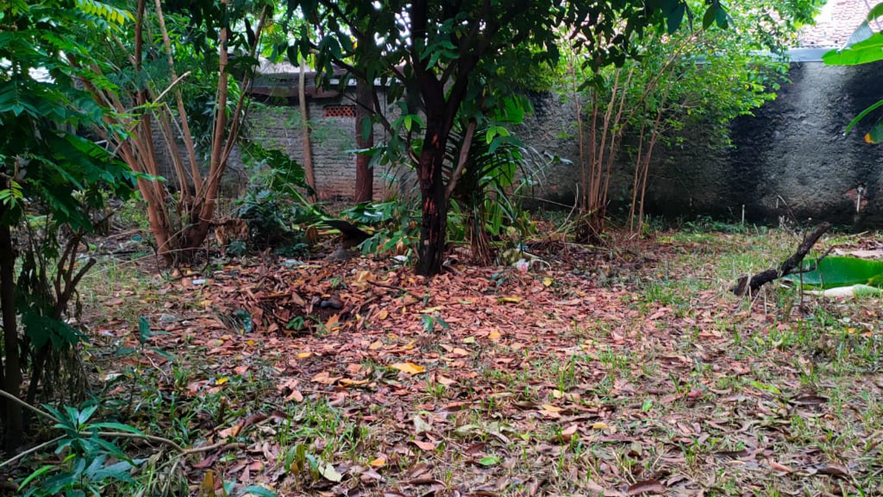 Rumah siap huni dalam cluster camar bintaro