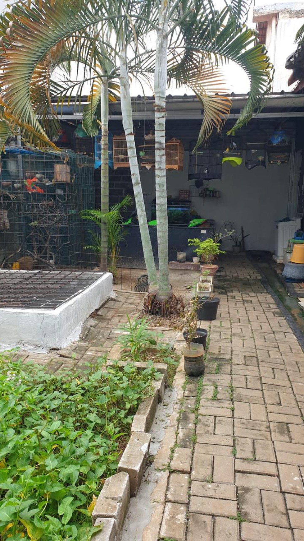 Rumah Luas, lokasi strategis di Jati Makmur