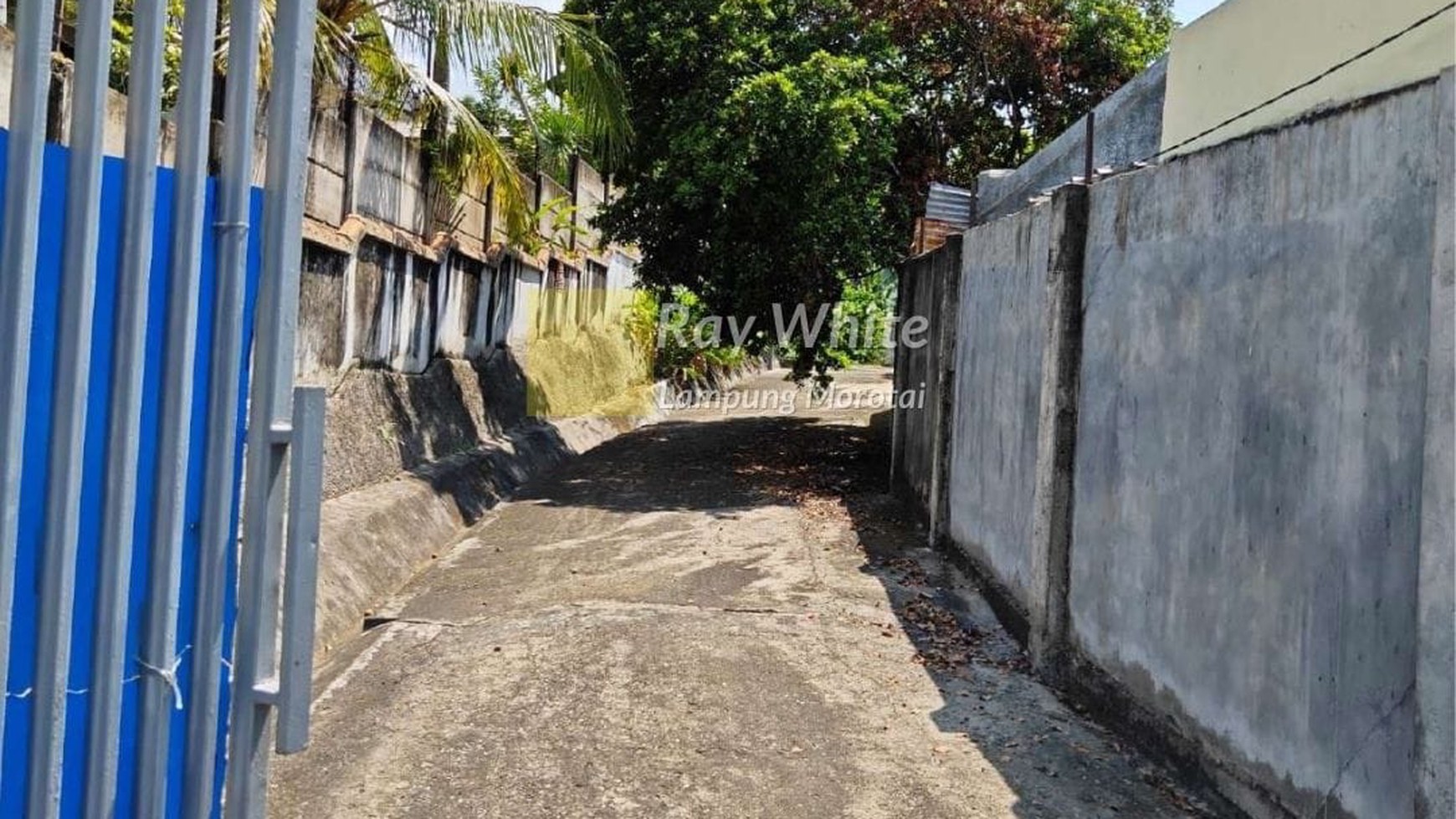 Dijual Rumah berhalaman luas rb