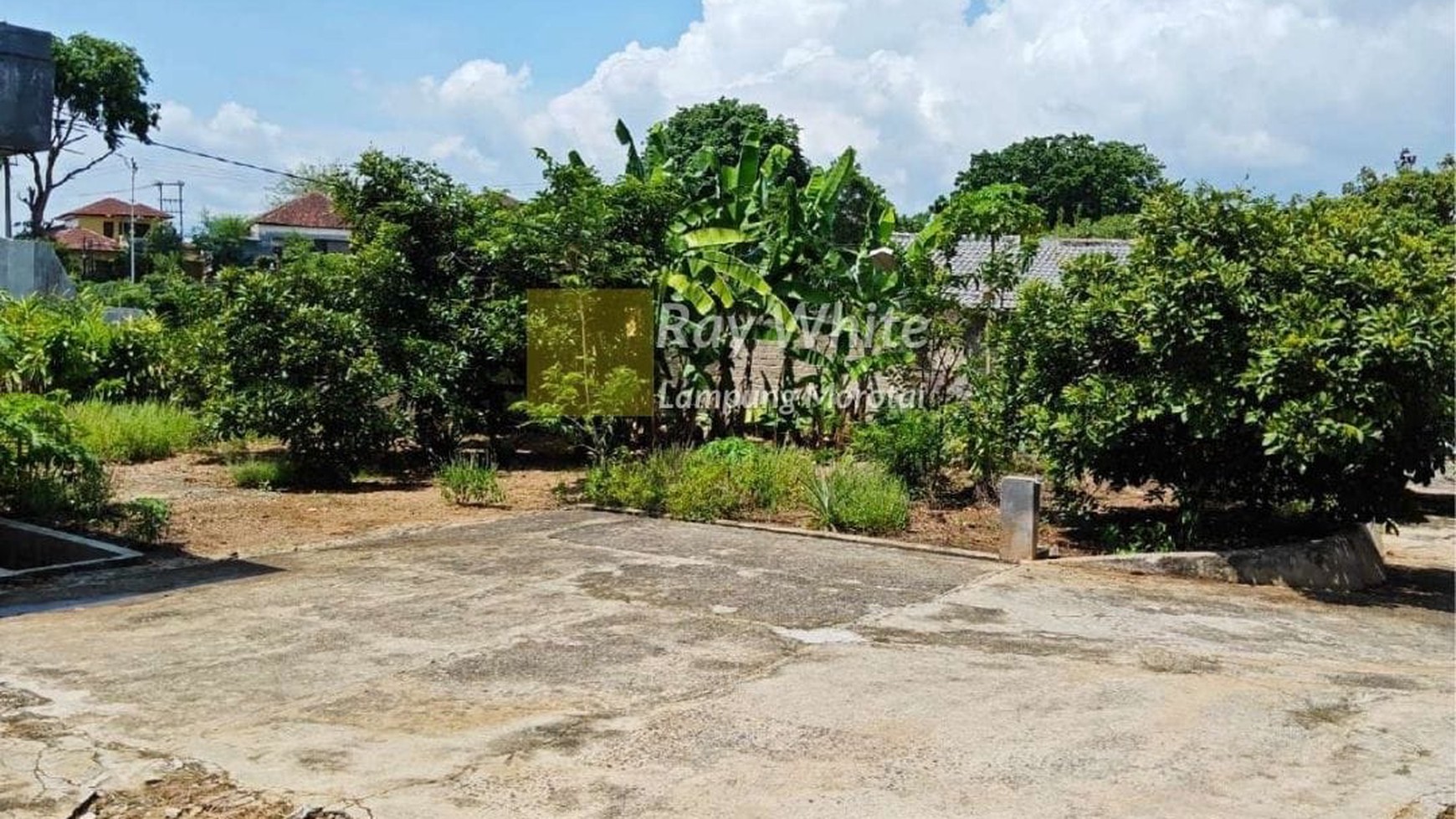 Dijual Rumah berhalaman luas rb