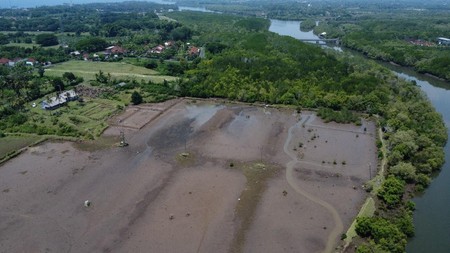 2 Bidang Tanah Luas Desa Perancak Bali