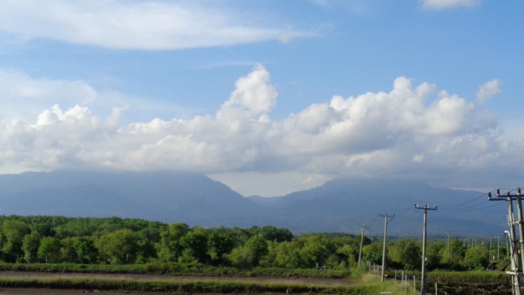 2 Bidang Tanah Luas Desa Perancak Bali