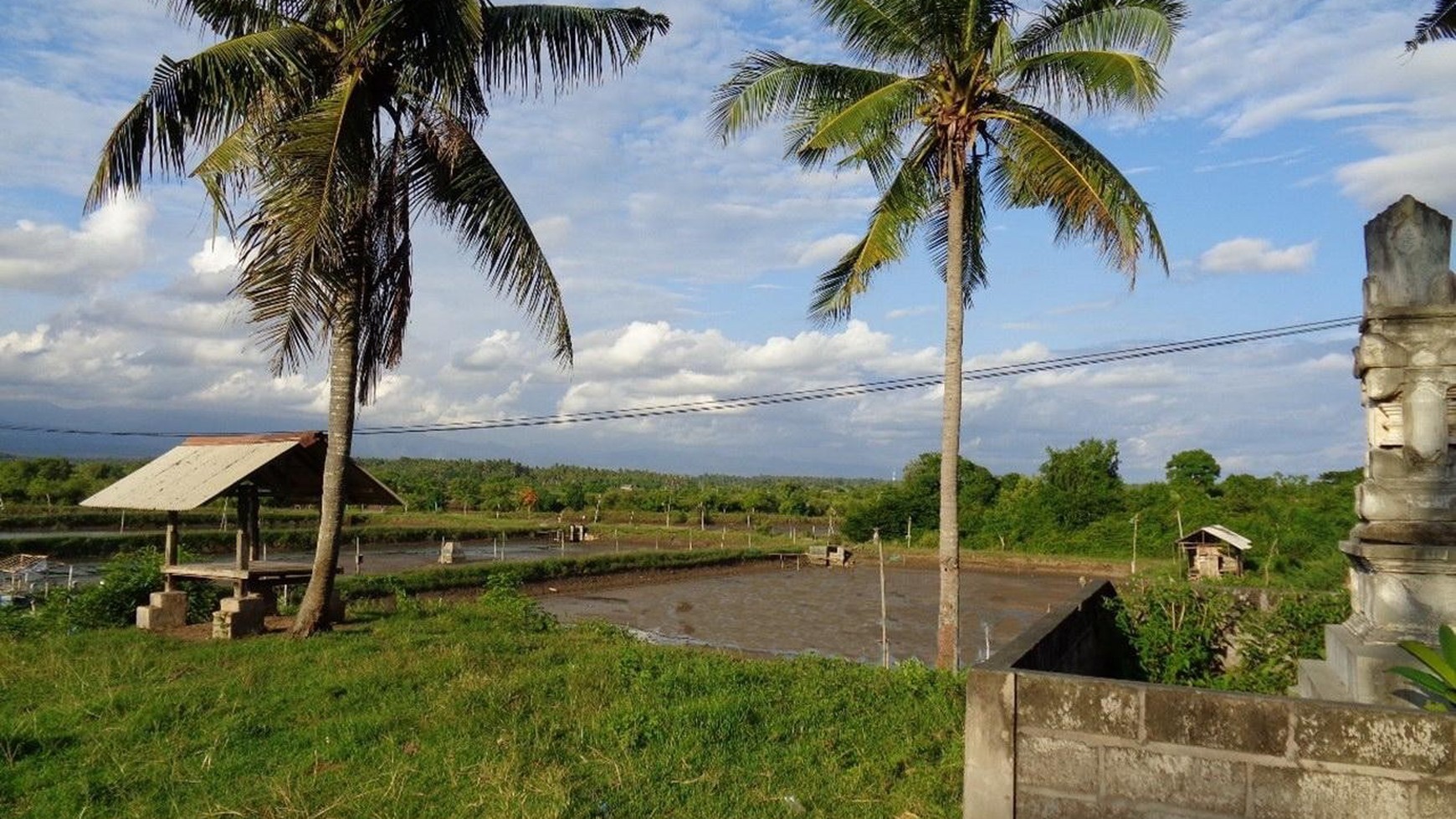 2 Bidang Tanah Luas Desa Perancak Bali