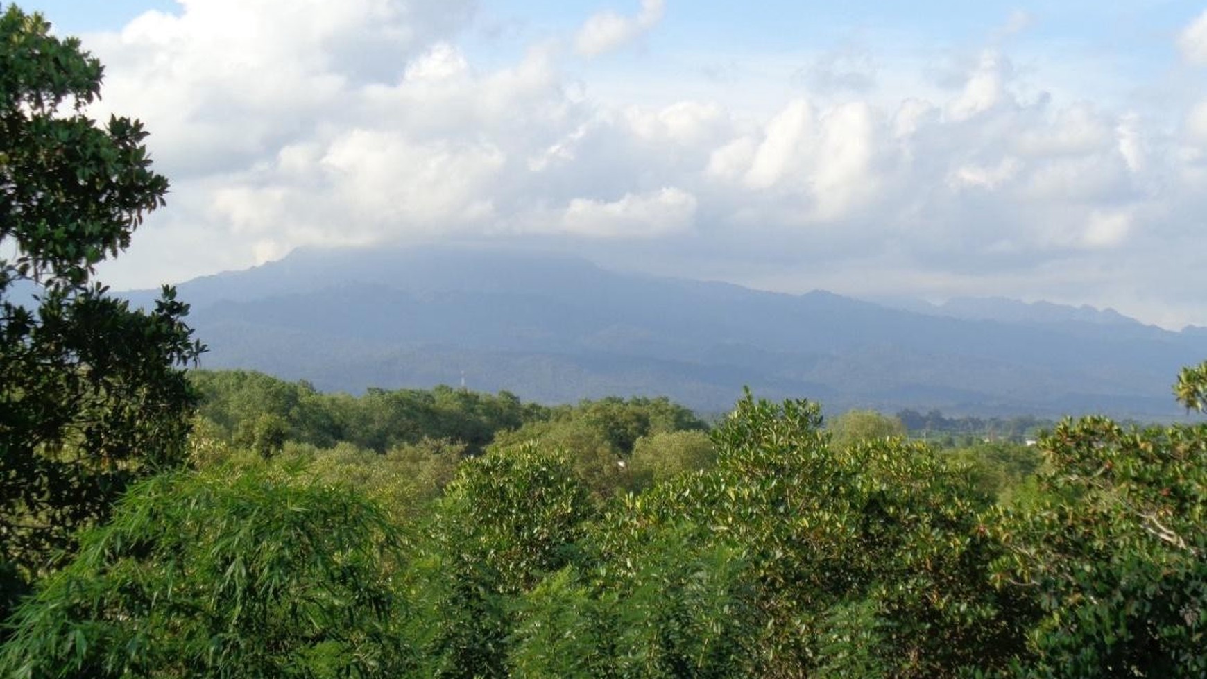 2 Bidang Tanah Luas Desa Perancak Bali