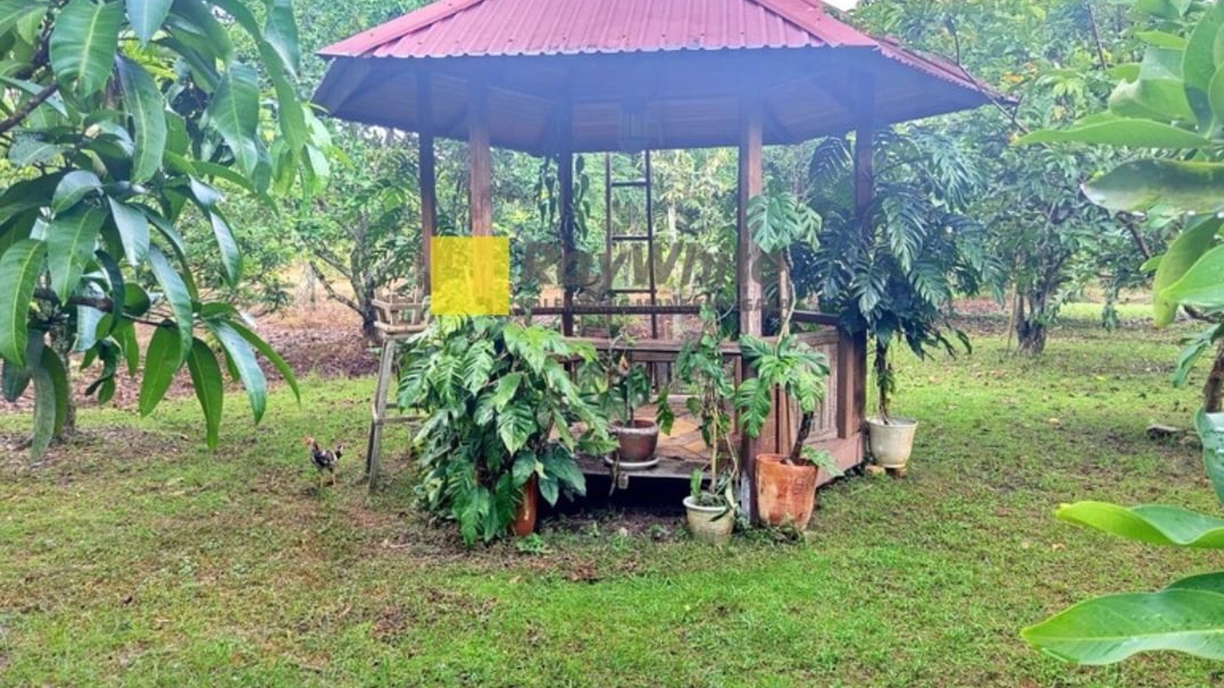 Dijual Cepat Tanah di Komplek Bumi Mas Indah Kec Talang Kelapa