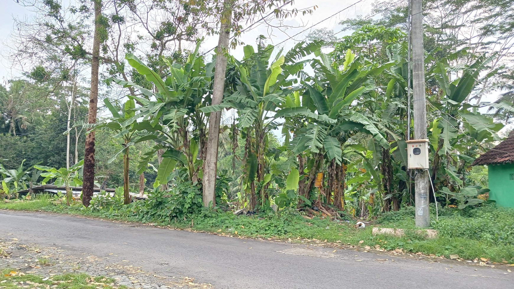 Tanah Luas 520 Meter Persegi Lokasi Strategis di Sedayu Bantul 