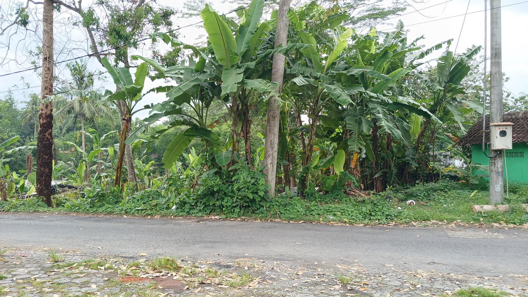 Tanah Luas 520 Meter Persegi Lokasi Strategis di Sedayu Bantul 