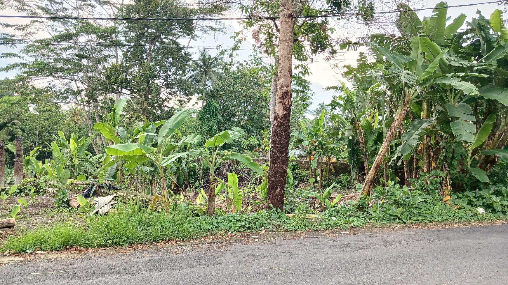 Tanah Luas 520 Meter Persegi Lokasi Strategis di Sedayu Bantul 