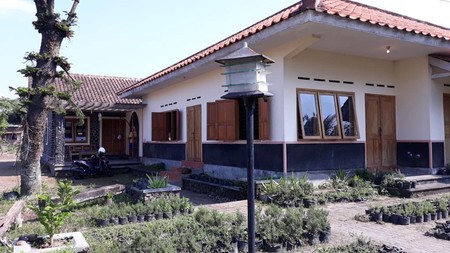 Rumah & Kebun Cocok Untuk Villa dengan Perkebunan Lokasi di Pakem Sleman 