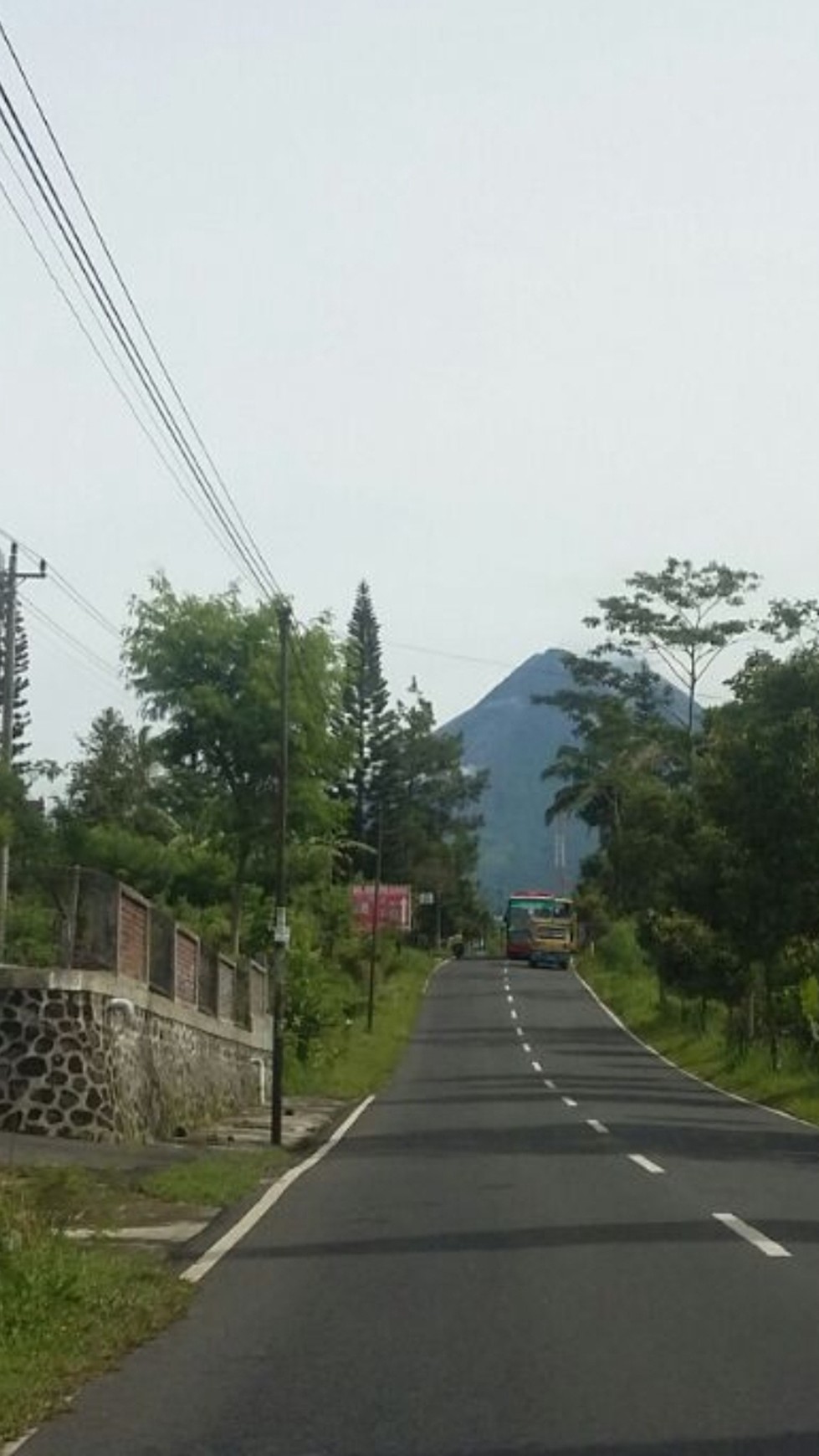 Rumah Cocok Untuk Villa dengan Perkebunan Lokasi di Pakem Sleman 