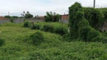 Kavling sewa di Commersil dekat dg TPU Kebon Miring- PIK 2, Teluk Naga.