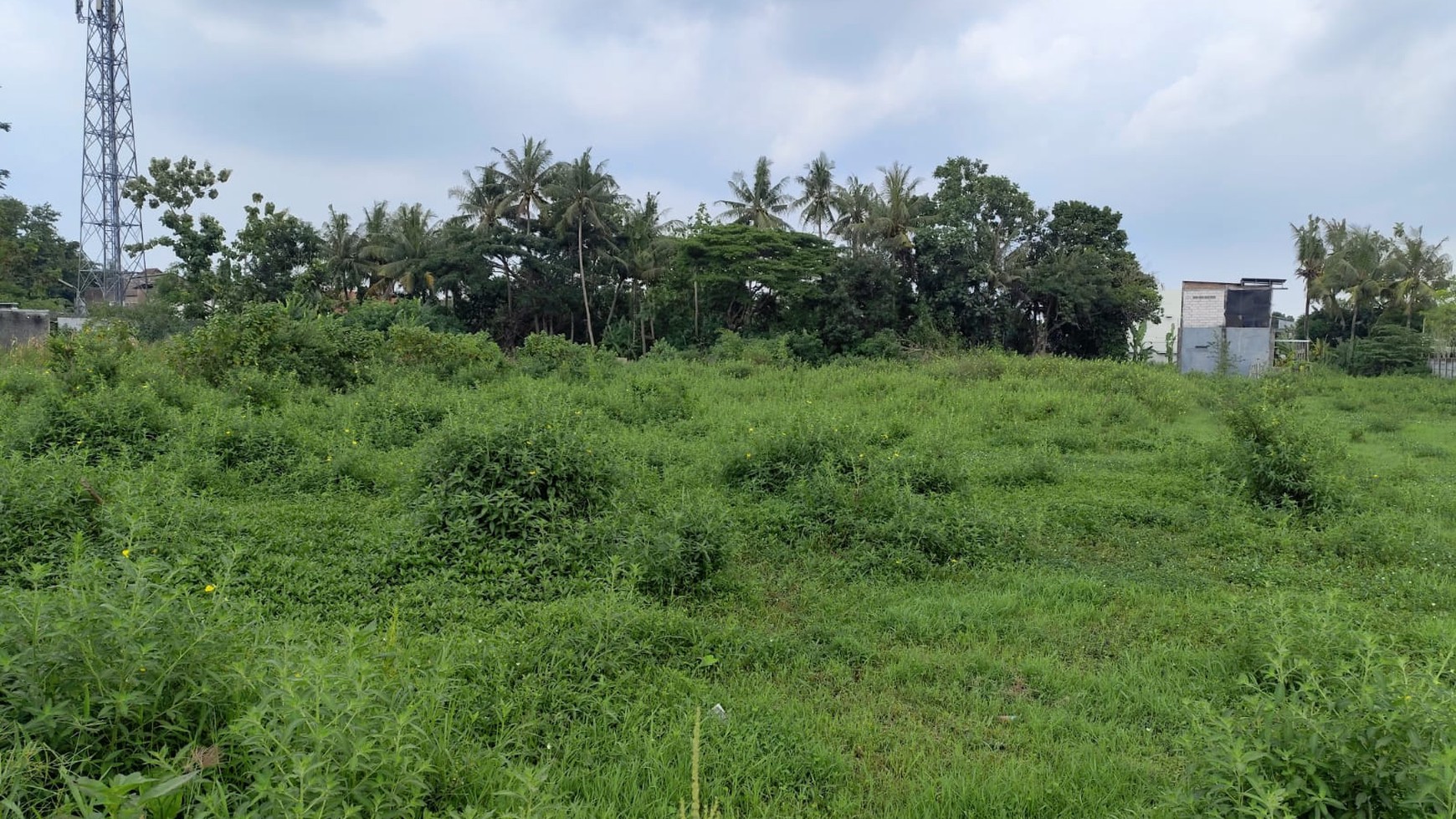 Tanah Pekarangan Luas 2412 Meter Persegi Lokasi Dekat Kampus Alma Ata Kasihan Bantul