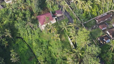 13 Are Land For Sale  in Gianyar