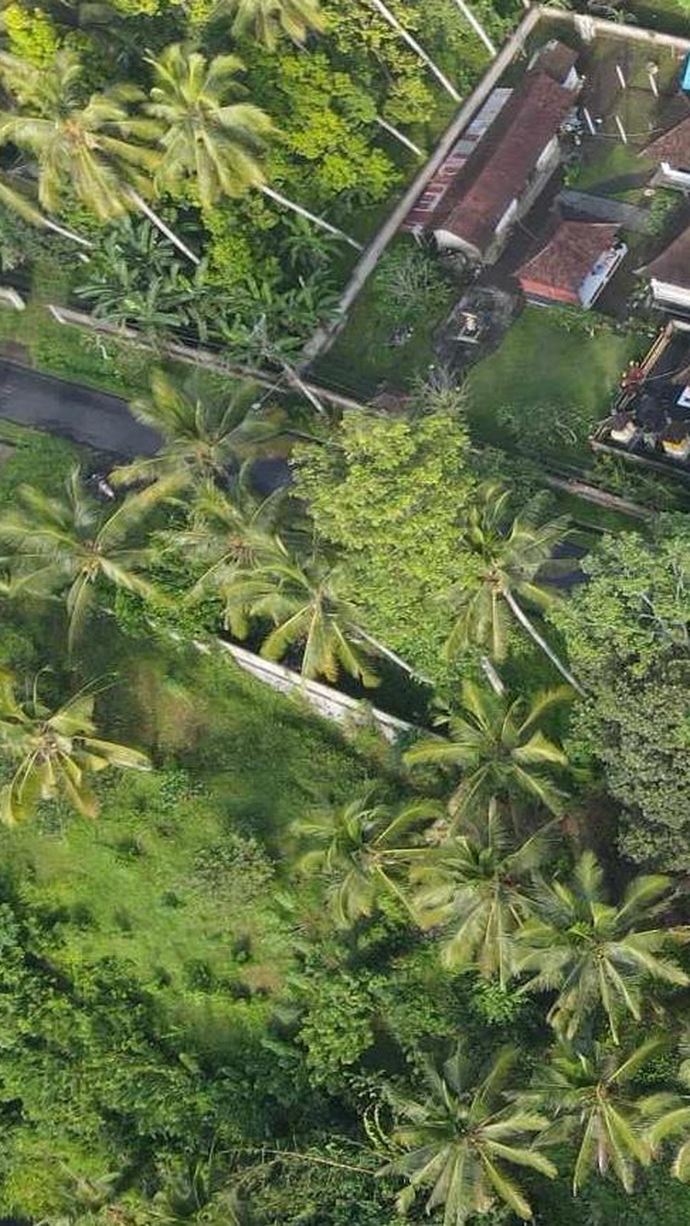 13 Are Land For Sale  in Gianyar