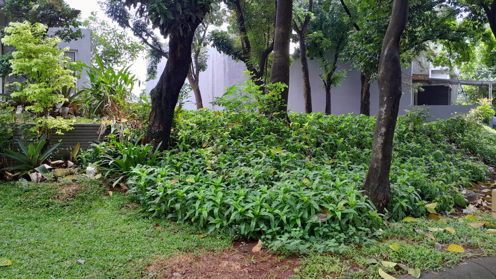 Dijual Kavling siap bangun,dalam cluster di Bintaro Jaya 7.