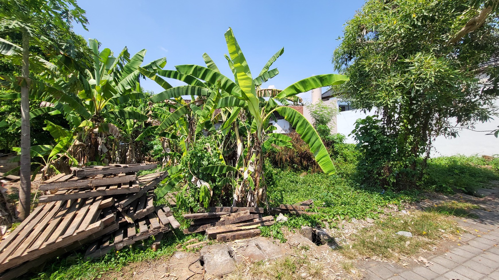 Quick Sale Plot of Land in Kemenuh, Ubud