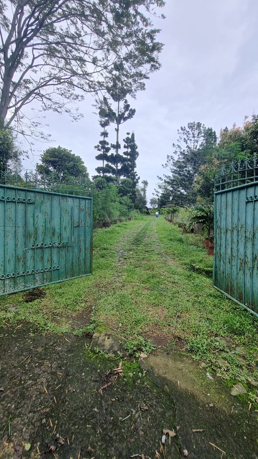 Villa Asri dengan Halaman Luas dan Lingkungan Nyaman di Cianjur