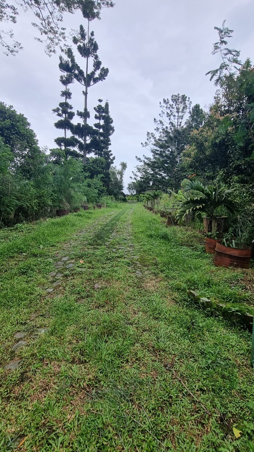 Villa Asri dengan Halaman Luas dan Lingkungan Nyaman di Cianjur