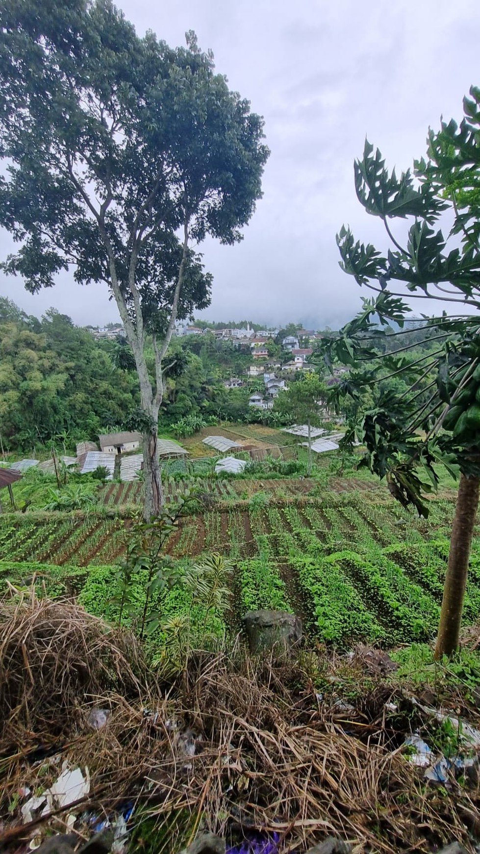 Villa Asri dengan Halaman Luas dan Lingkungan Nyaman di Cianjur