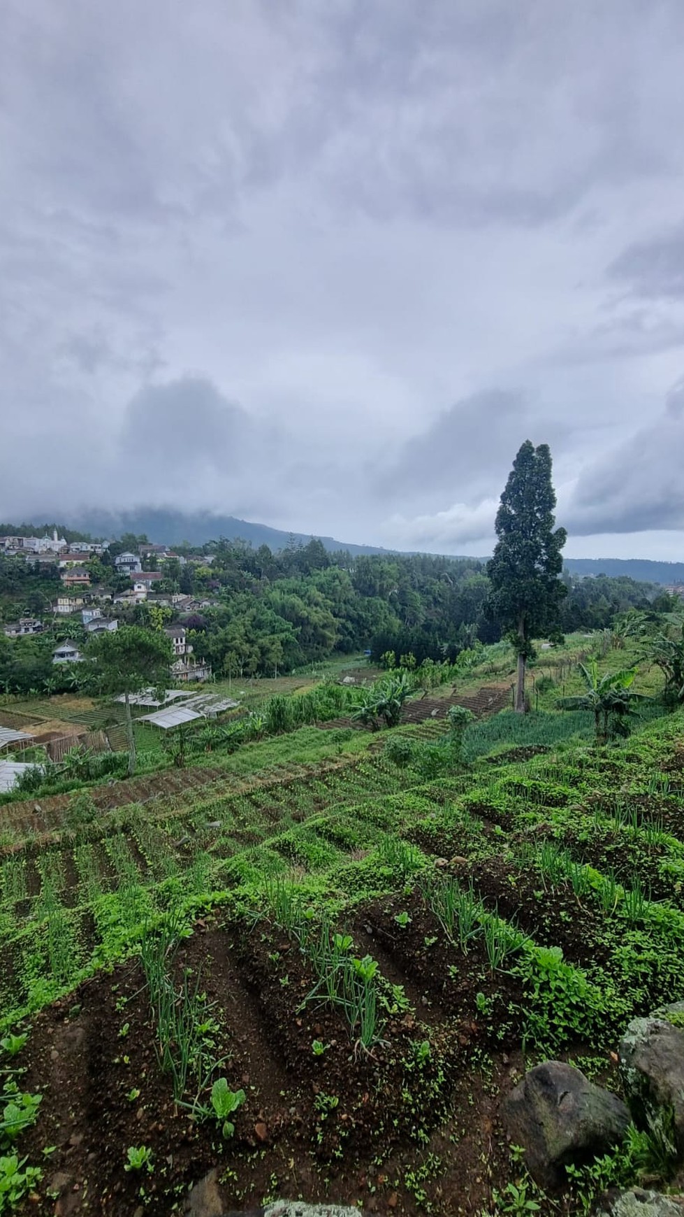 Villa Asri dengan Halaman Luas dan Lingkungan Nyaman di Cianjur