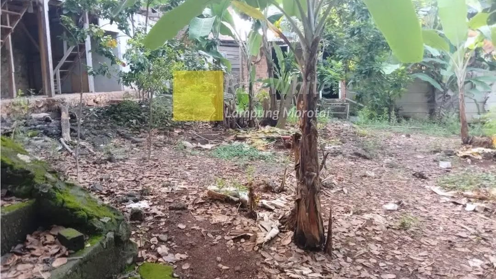 dijual tanah pinggir jalan pramuka