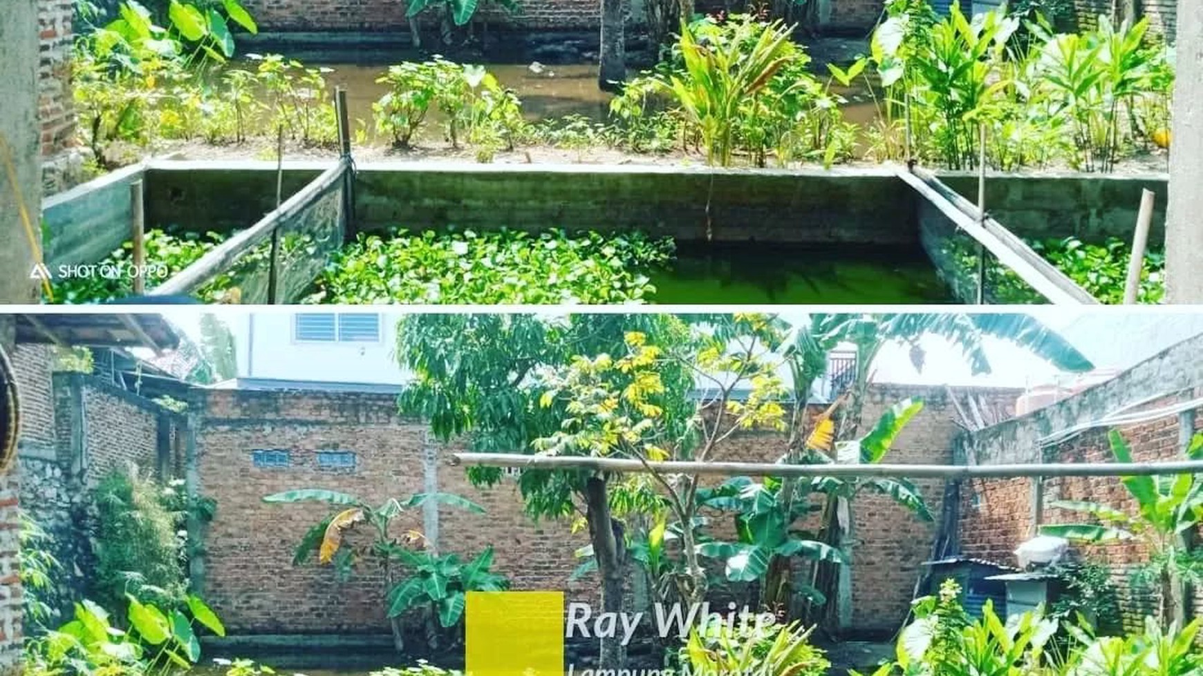 dijual rumah tanjung senang