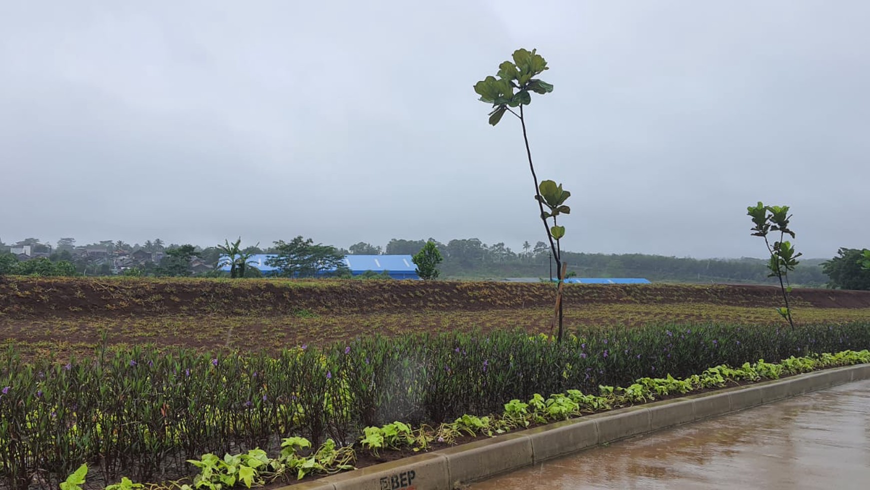 Mini Factory 1500m2 - di Kawasan Industri Cikembar  Sukabumi