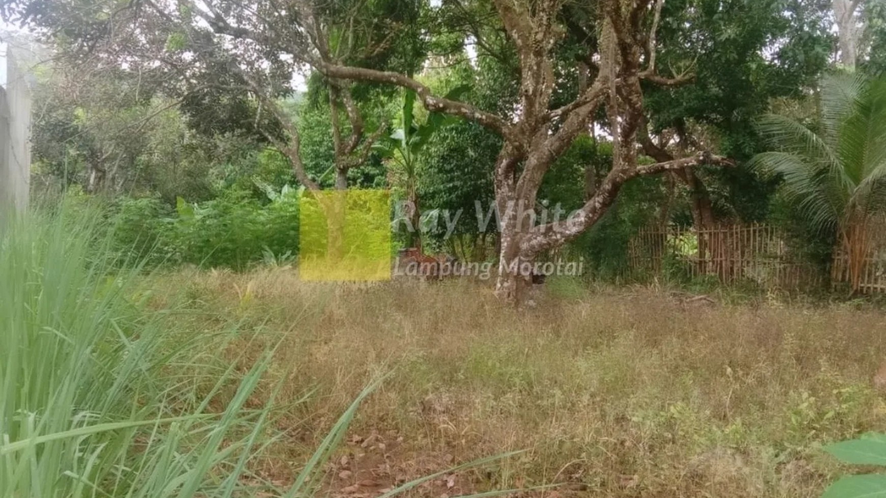 dijual tanah murah  tanjung karang barat