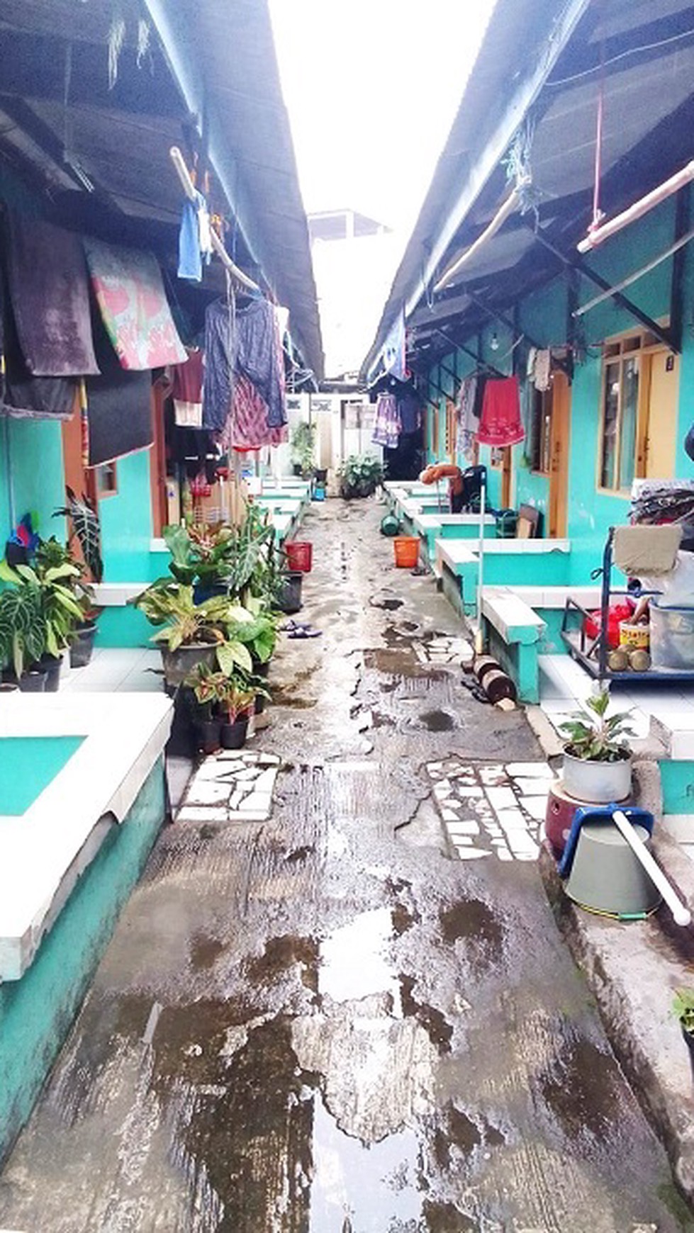 Dijual kontrakan petakan di JL. Tuntang Perumnas Karawaci Tangerang