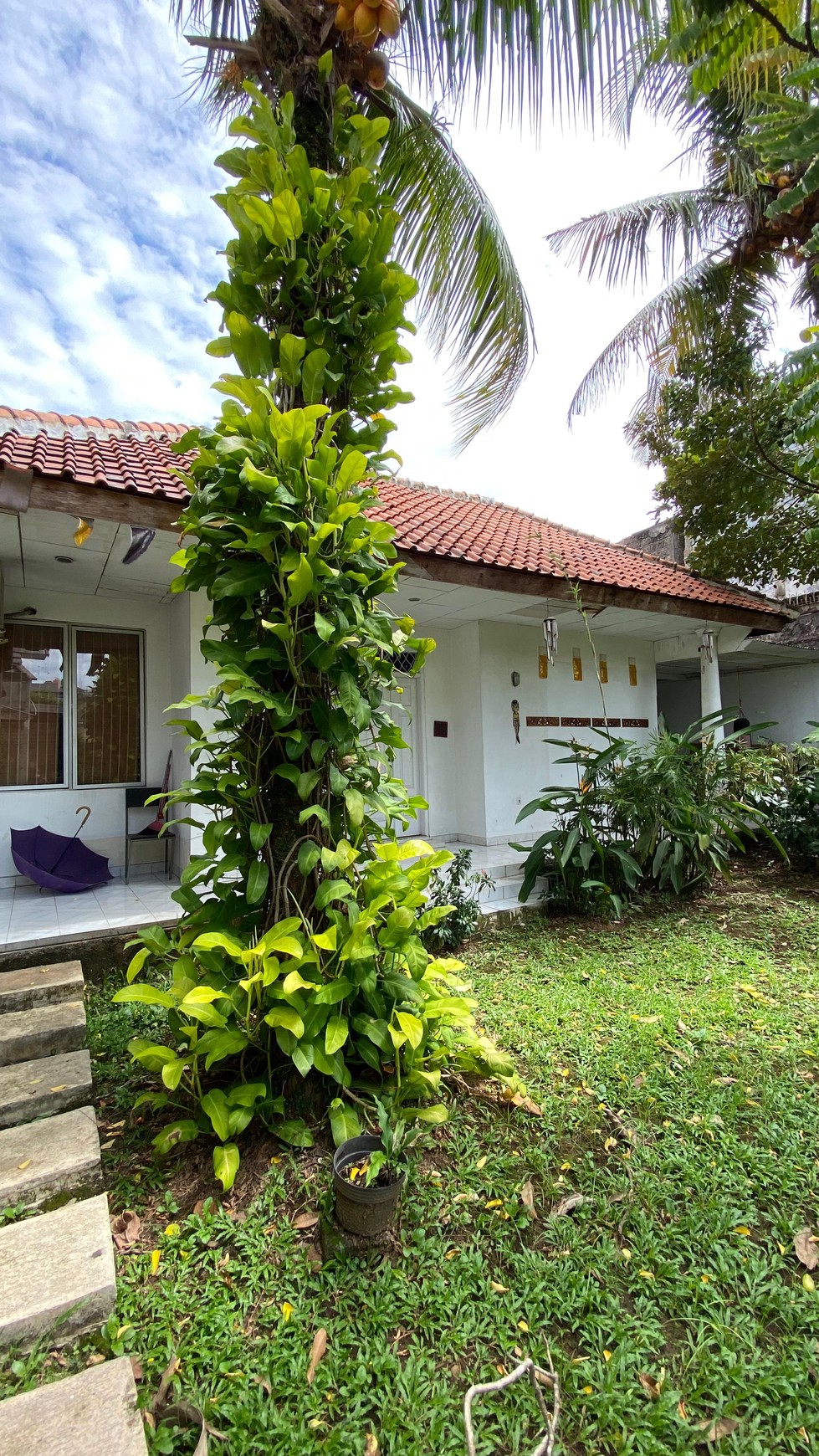 Rumah Halaman Luas Ada Paviliun Selangkah ke Mal Cinere