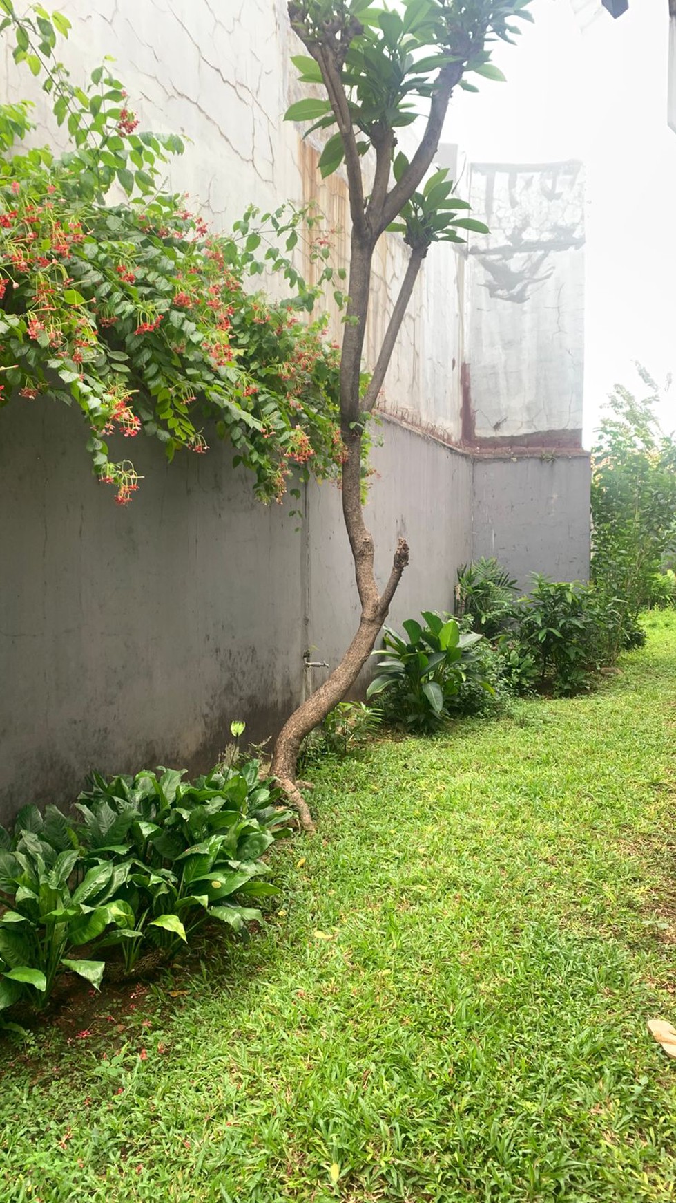 Rumah Bagus Di Jl H Nawi Raya Gandaria Jakarta Selatan