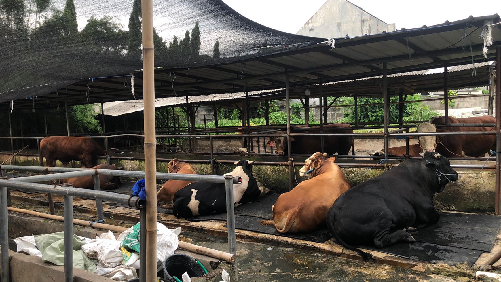 Kavling Siap Bangun Di Jl Jombang Raya Pondok Aren Tangerang Selatan